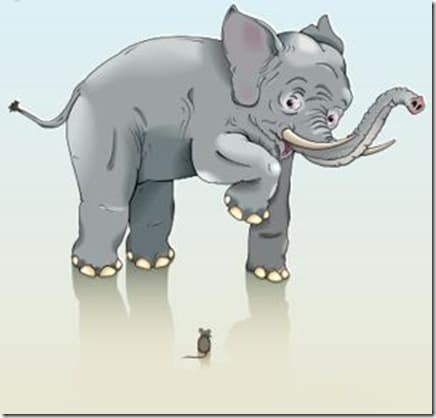 elephant-mouse