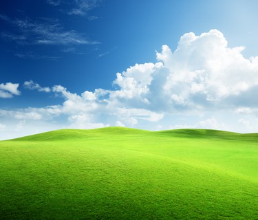 Field of grass and perfect sky