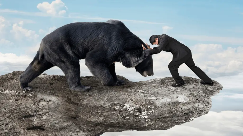 Bear-Fight
