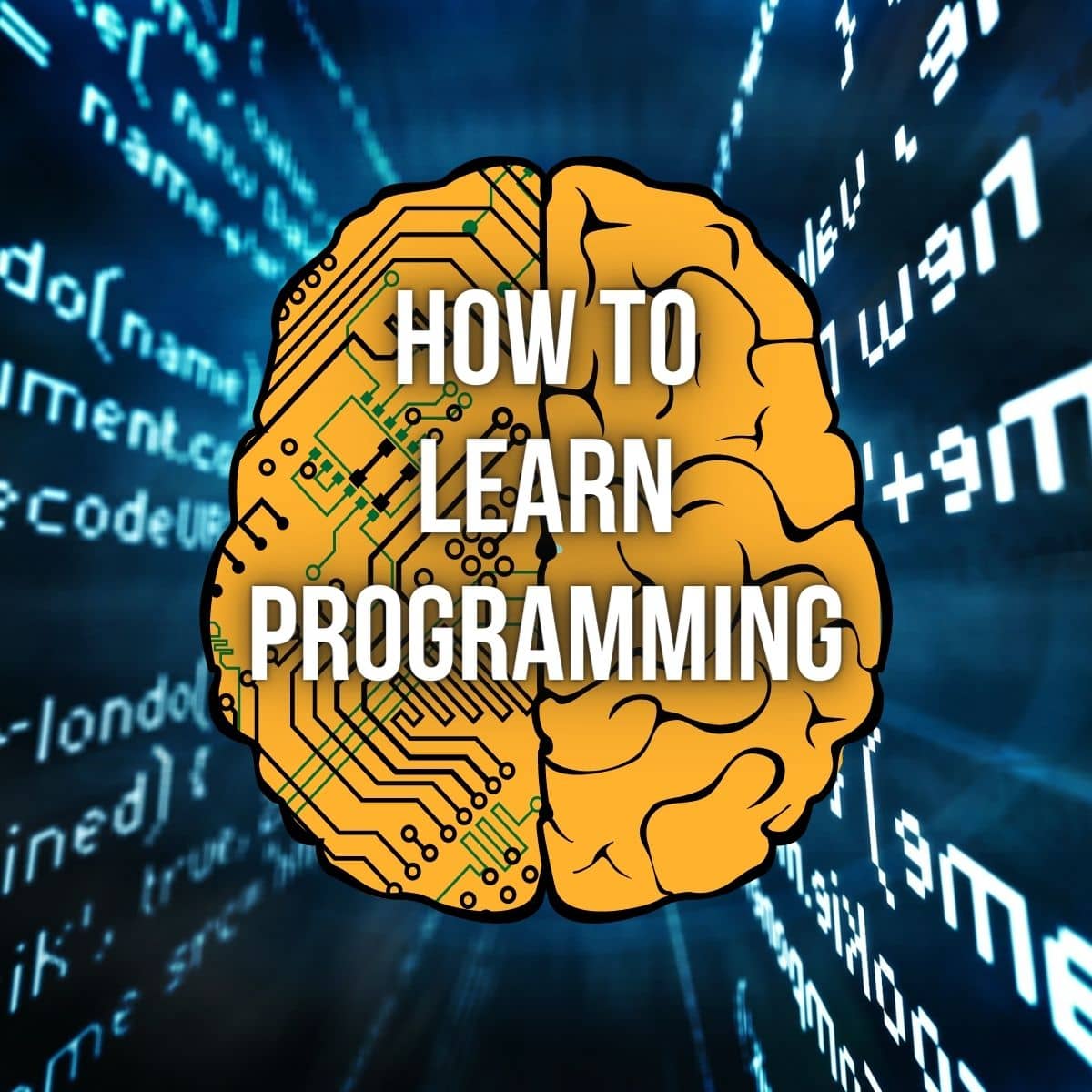 A guide to learning programming