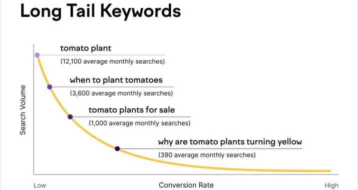 Long Tail Keywords For Programming Blog