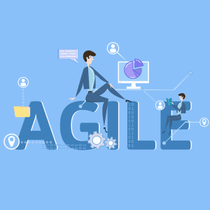 A Programmer’s Guide to Agile Implementation - Simple Programmer