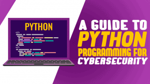 python programming cybersecurity