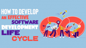 software development life cycle
