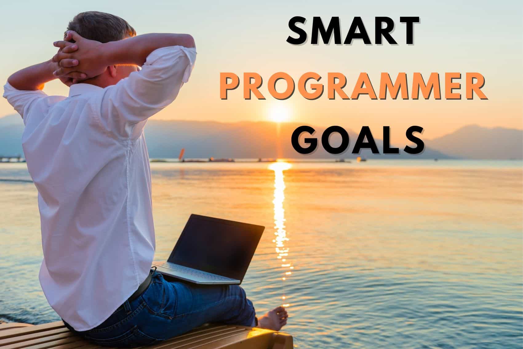 sample smart career goals programmer