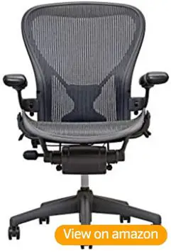 Herman Miller Aeron Lite Chair