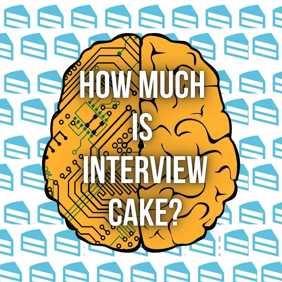 The cost of Interview Cake's course