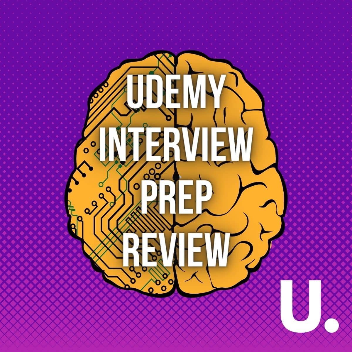 udemy-s-best-coding-interview-preparation-course-a-2023-review