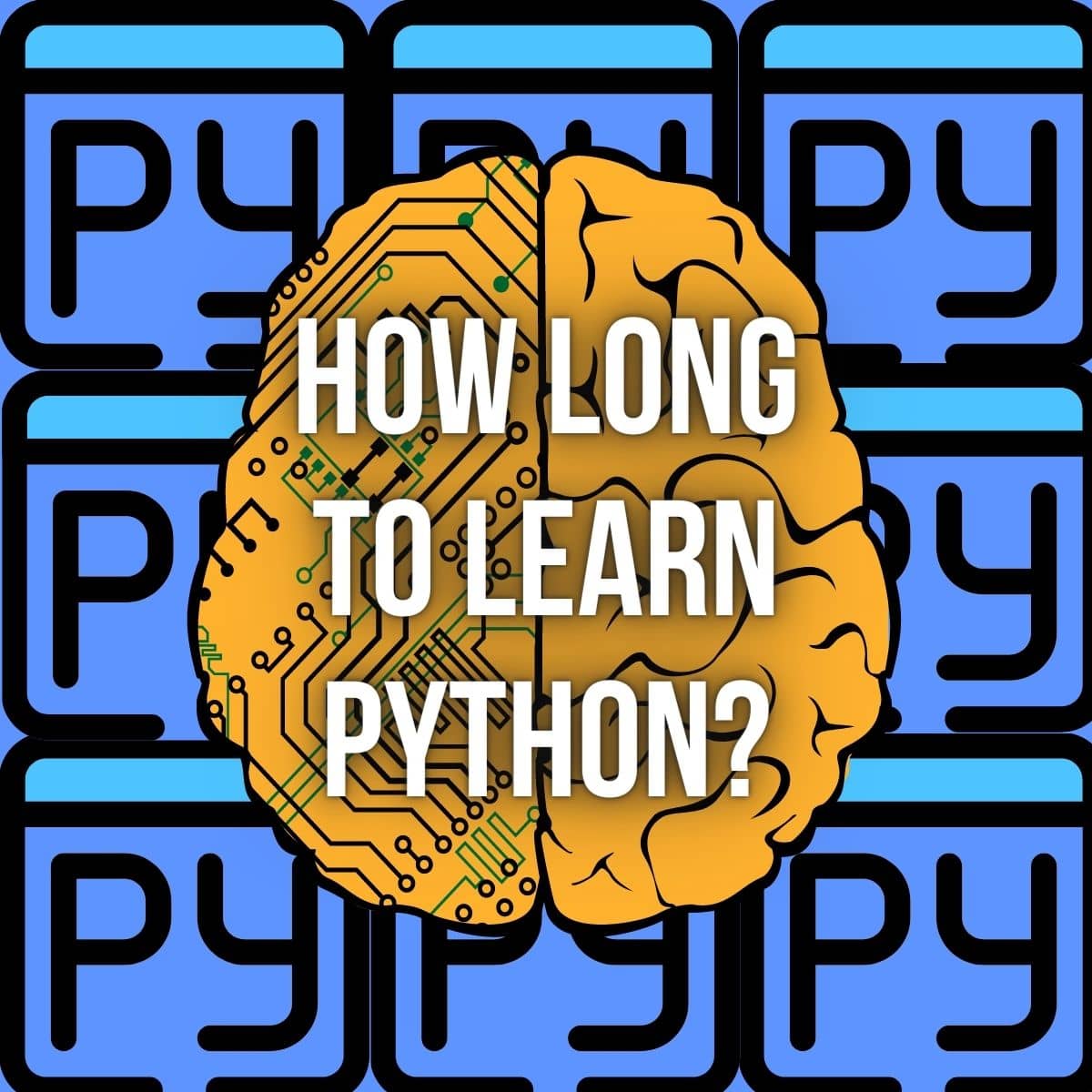 How long does it take to learn Python Programming