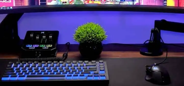 Plants in the workspace